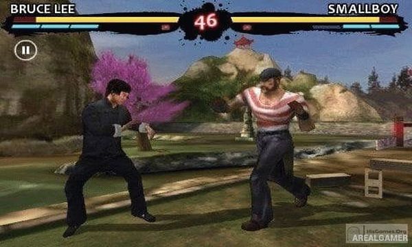 Bruce Lee: Call of the Dragon Screenshot 2