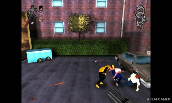 Bruce Lee: Call of the Dragon Screenshot 3