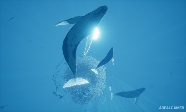 ABZÛ Screenshot 2