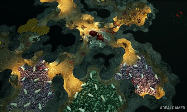 Empires of the Undergrowth Screenshot 2