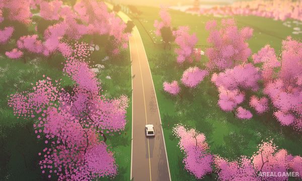 Art of Rally Screenshot 3