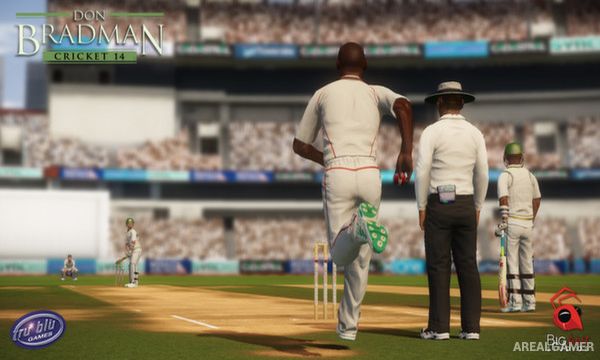 Don Bradman Cricket 14 Screenshot 1