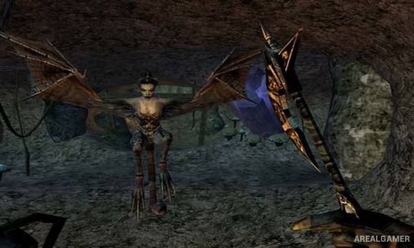 The Elder Scrolls III: Morrowind GOTY Screenshot 3