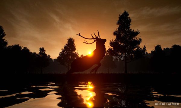 Deer Journey Screenshot 1