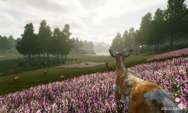 Deer Journey Screenshot 2