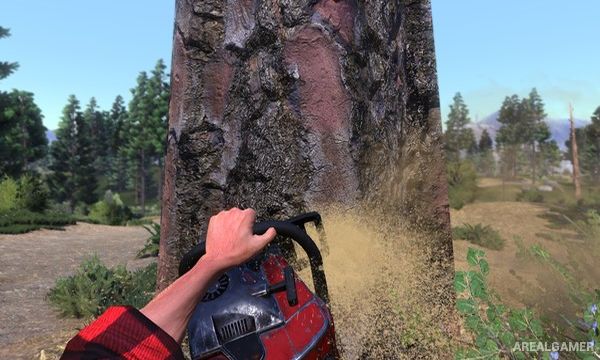 Lumberjack's Dynasty Screenshot 1