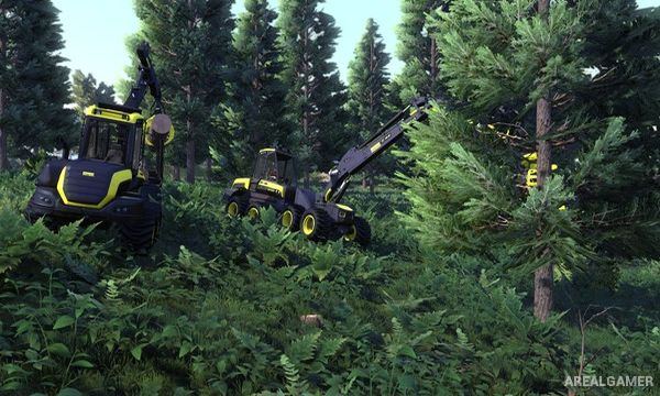 Lumberjack's Dynasty Screenshot 3