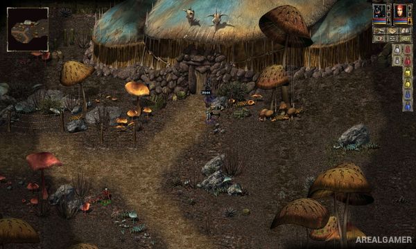 Beyond Divinity Screenshot 1