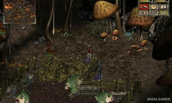 Beyond Divinity Screenshot 2