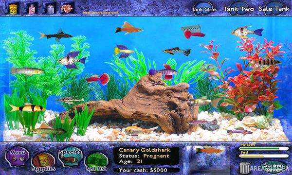 Fish Tycoon Screenshot 1