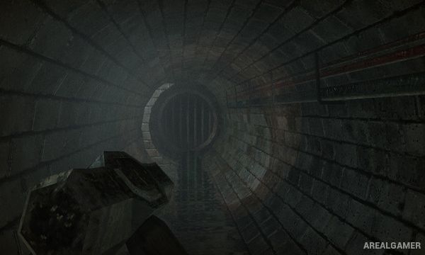 Lost in Vivo Screenshot 1