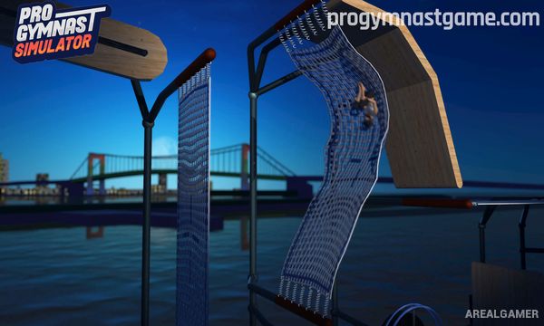 Pro Gymnast Screenshot 3