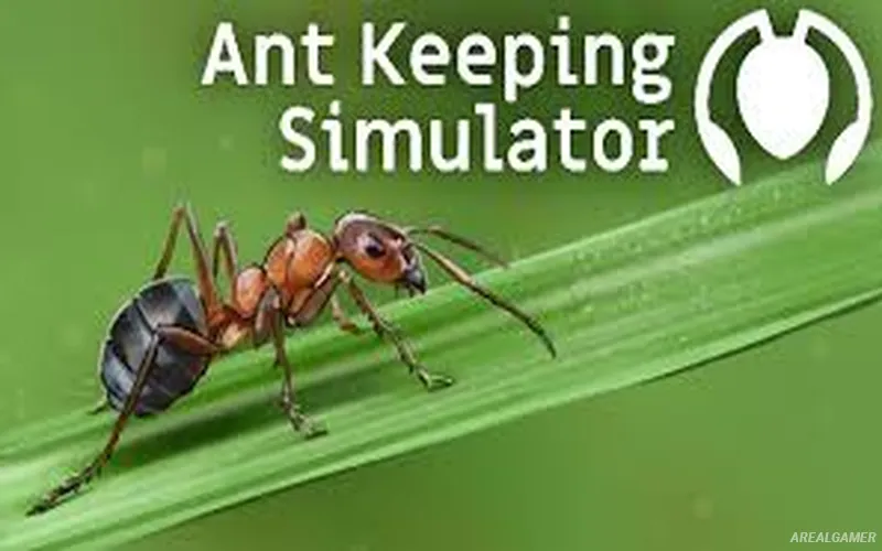 Ant Keeping Simulator Cover Art, Free Download, PC Game, Full Version