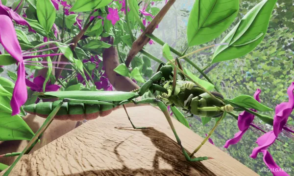 Nature And Life - Drunk On Nectar Screenshot 2