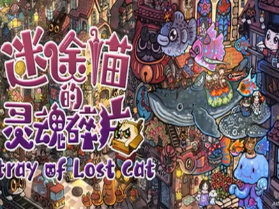 Stray of Lost Cat