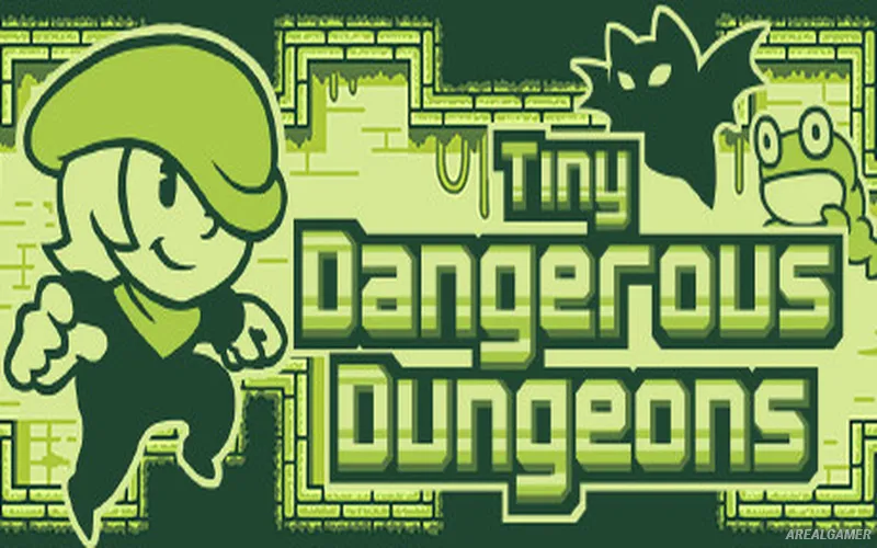 Tiny Dangerous Dungeons Remake Cover Art, Free Download, PC Game, Full Version