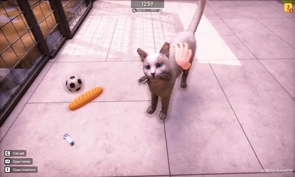Animal Shelter 2 Screenshot 1, Free Download, PC Game, Full Version
