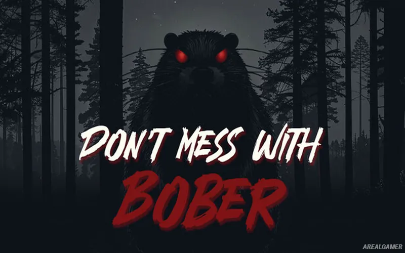 Don't Mess With Bober Cover Art, Free Download, PC Game, Full Version