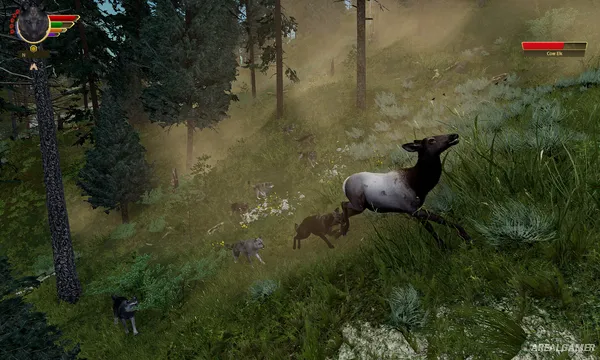 WolfQuest: Anniversary Edition Screenshot 1, Free Download, PC Game, Full Version