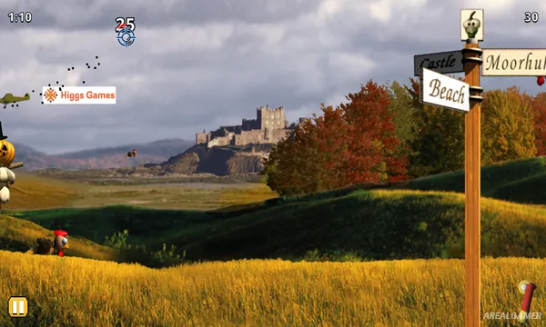 The Original Moorhuhn Hunt Screenshot 3