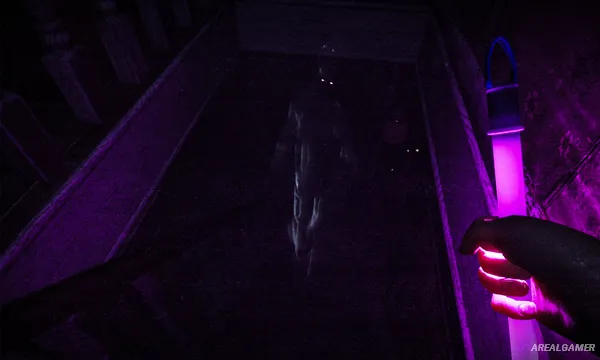 Abnormality Screenshot 2