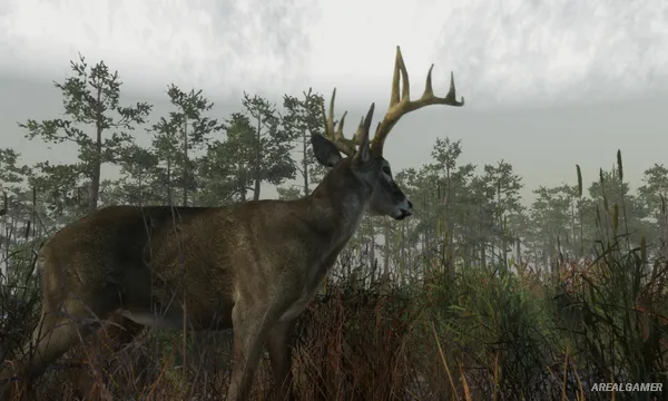 Deer Hunting Camp Screenshot 1