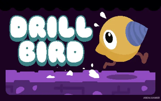 Drill Bird Cover Art