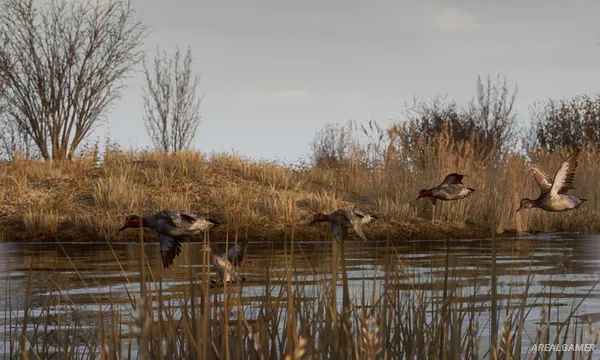 BULT: Hunting simulator Screenshot 1