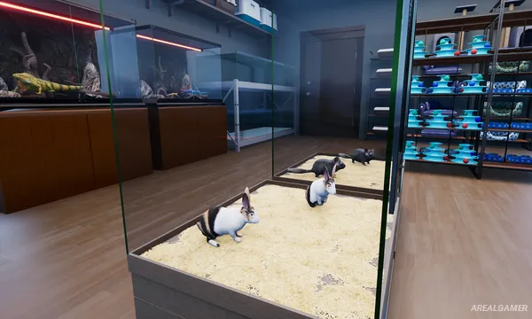 Exotica 2: Pet Shop Simulator Screenshot 2